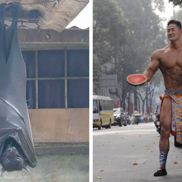 40 «Unidades absolutas» compartidas en esta comunidad online (nuevas fotos)