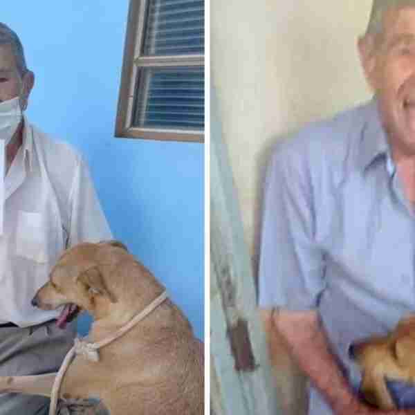 Abuelo de 90 años quedó enamorado de una perrita de refugio y la adoptó: “Fue amor a primera vista”