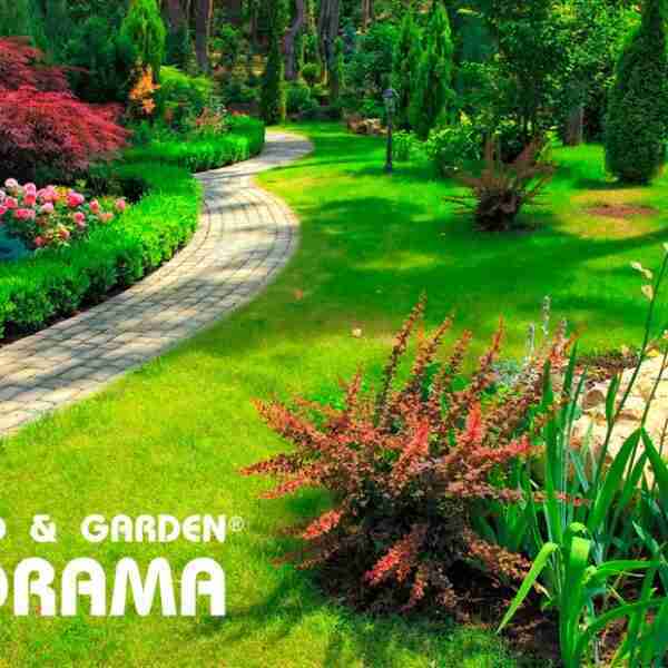 Cómo diseñar un jardín: técnicas, consejos e ideas originales, por VIVEROS FLORAMA