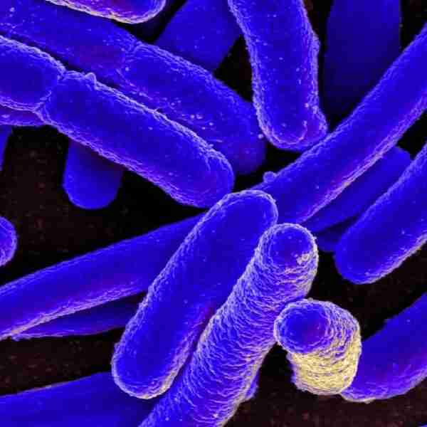El objeto más sucio de tu baño guarda millones de bacterias (y no hablamos del inodoro)