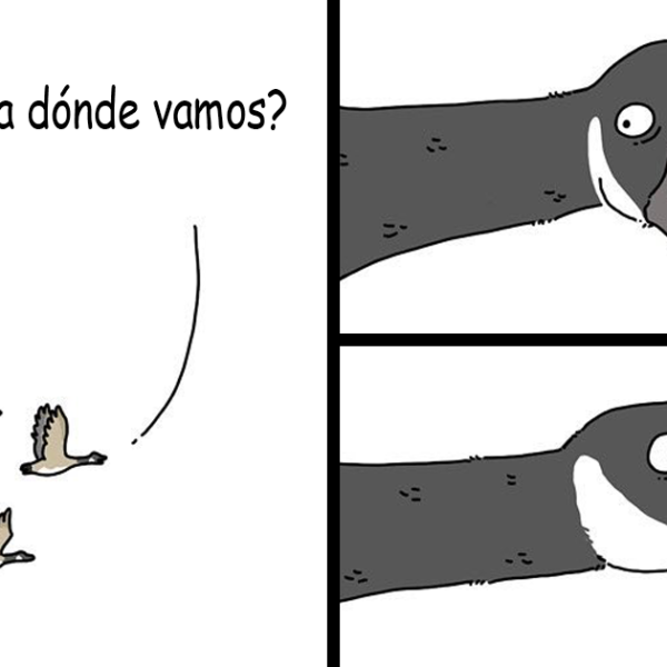 Este artista muestra lo que dirían los animales si pudieran hablar (10 Nuevos cómics)