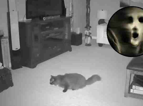 Una cámara detecta a un fantasma salir de una muñeca y el vídeo se hace viral