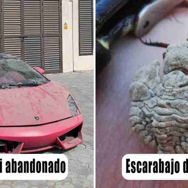 14 fotos que muestran lo extravagante que son los Emiratos Árabes