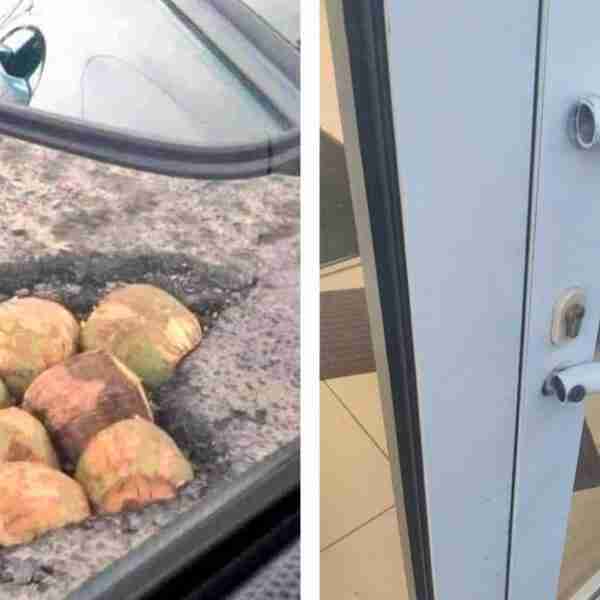 14 personas que resolvieron problemas de una manera muy peculiar