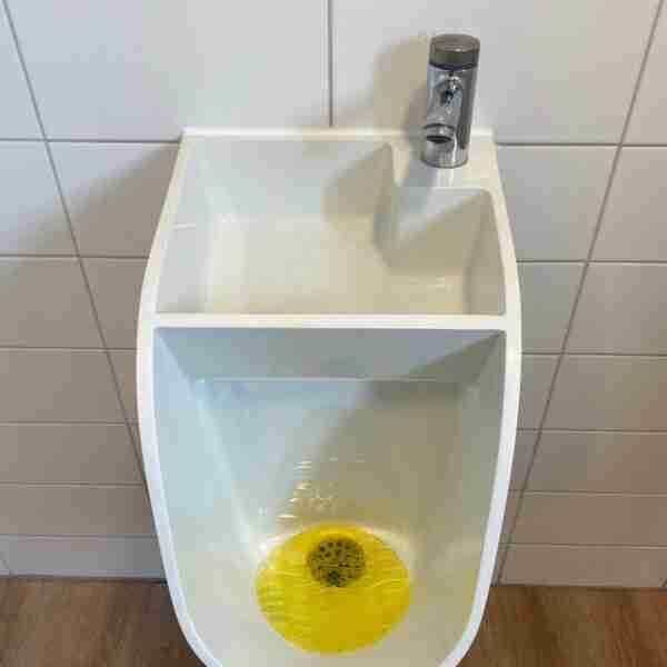 15 Imágenes peculiares que no se ven todos los días