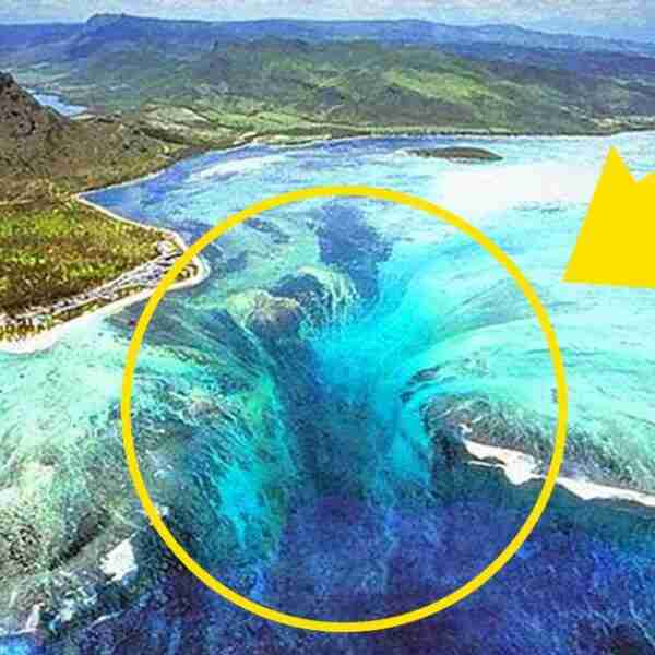 16 Curiosidades de nuestro planeta que seguramente no sabías que eran posibles