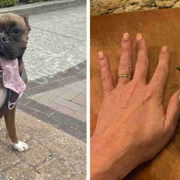 16 cosas y animales que son mucho más grandes de lo que imaginaste