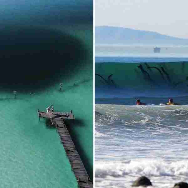 18 imponentes imágenes que prueban que miedo al agua es real y aterrador