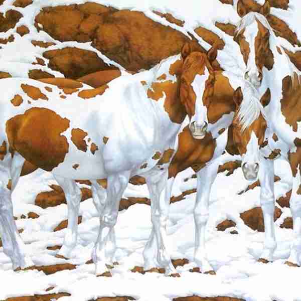 2 Acertijos famosos que sólo un genio podría resolver en menos de 10 segundos