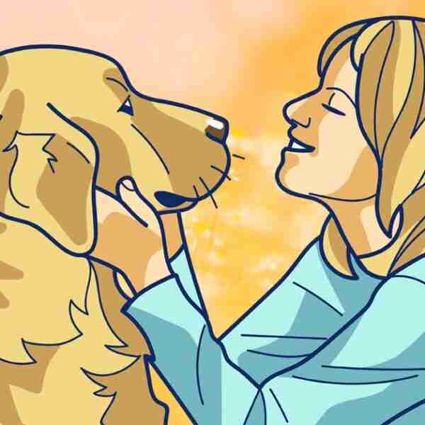 20 Cosas que suelen hacer los perros cuando quieren decirte algo