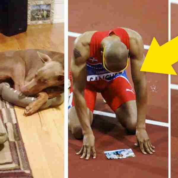 20 Curiosas imágenes que te podrían cambiar el día