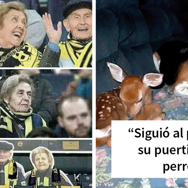 20 Memes reconfortantes que nos recuerdan que el mundo no es del todo malo