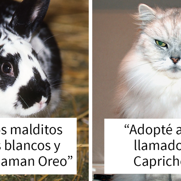 20 Nombres de mascotas que los miembros de esta comunidad en línea piensan que son los peores