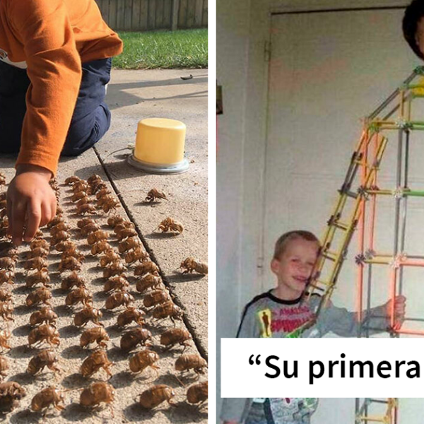 25 Niños haciendo cosas espeluznantes, tan divertidas como preocupantes
