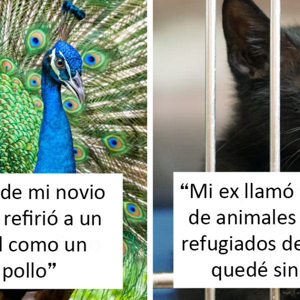 34 Personas que no se acordaban de cómo se llamaba una cosa y se inventaron un nuevo nombre más gracioso