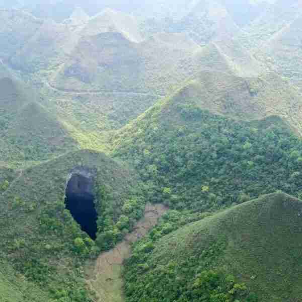 Descubren en China bosque subterráneo lleno de especies exóticas