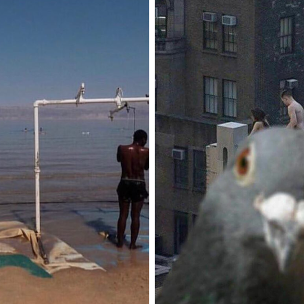 Esta cuenta de Instagram presenta divertidas fotografías urbanas y tiene más de 500 mil seguidores (30 nuevas fotos)