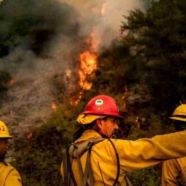 Hombre irá 24 años preso por iniciar incendio forestal en siembra ilegal de marihuana en California