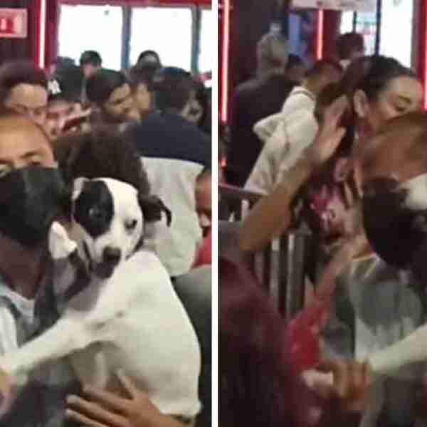 Hombre que no tenía pareja tomó a su perrito y bailó cumbia con él en una feria. Gozaron la música