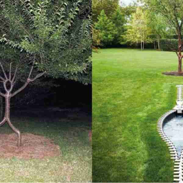 Los 28 jardines más raros que verás en tu vida.