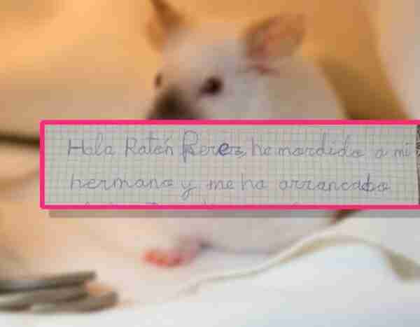 Una niña revoluciona Twitter por escribirle una surrealista carta al Ratoncito Pérez: «Mucho drama en mi casa»