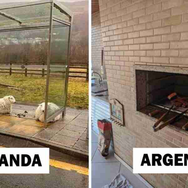 15 experiencias que sorprendieron a los viajeros en sus vacaciones