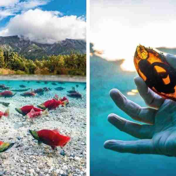 15 fenómenos naturales que te causarán gran intriga al mirarlos. 