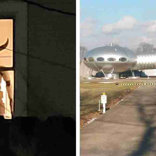 17 vecinos extraños que te harán preguntarte si mudarte o hacerte su amigo. 