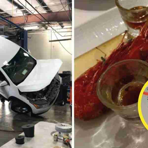 18 pruebas de que la mala suerte sí existe.