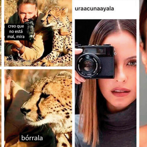 20 Memes sobre fotografía compartidos en instagram que te harán reír a carcajadas