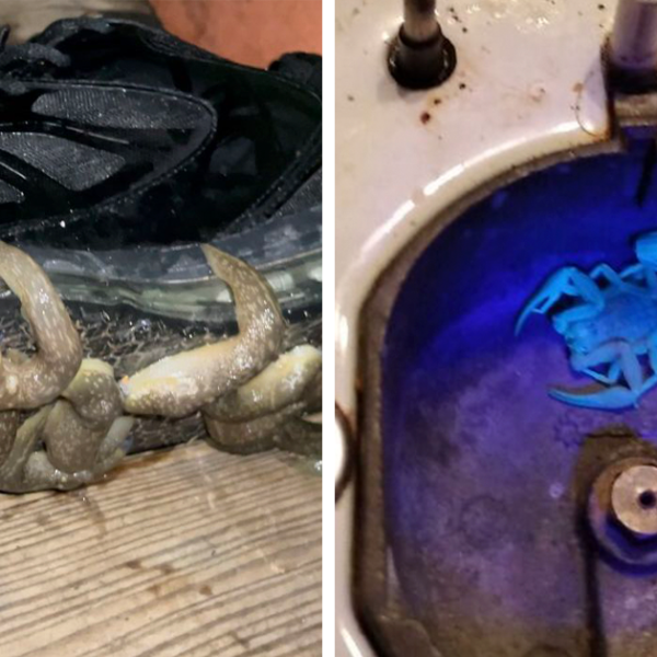 30 Personas que fotografiaron el material del que están hechas las pesadillas