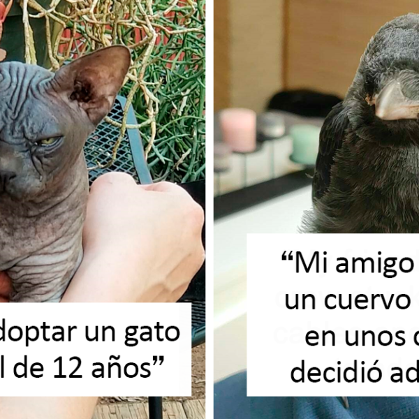 40 Fotos de mascotas rescatadas el pasado mes de mayo que te harán sonreír