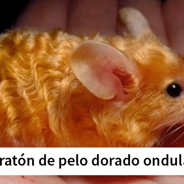 Esta página de Facebook comparte milagros del mundo natural tan magníficos como espeluznantes (40 fotos)