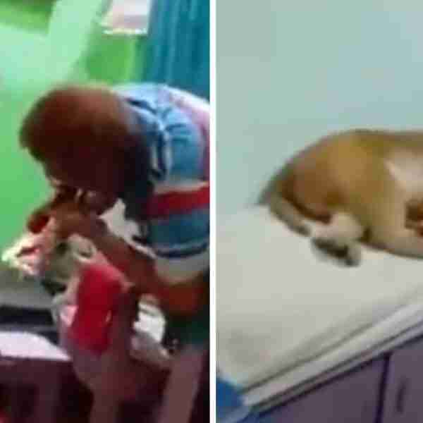 Mona herida visitó una clínica con su bebé en brazos para que los cuidaran. Confió en los doctores