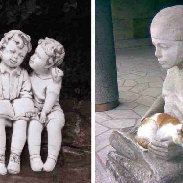 14 gatos posando al lado de estatuas demostrando que son grandes modelos