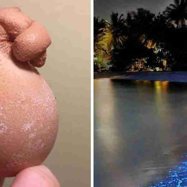 15 Imágenes curiosas de la naturaleza que deberías mirar varias veces