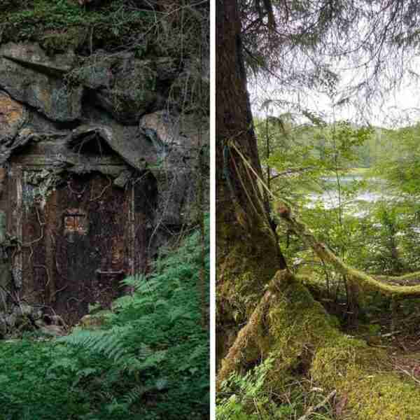 16 cosas extrañas que se pueden encontrar en lo más profundo del bosque
