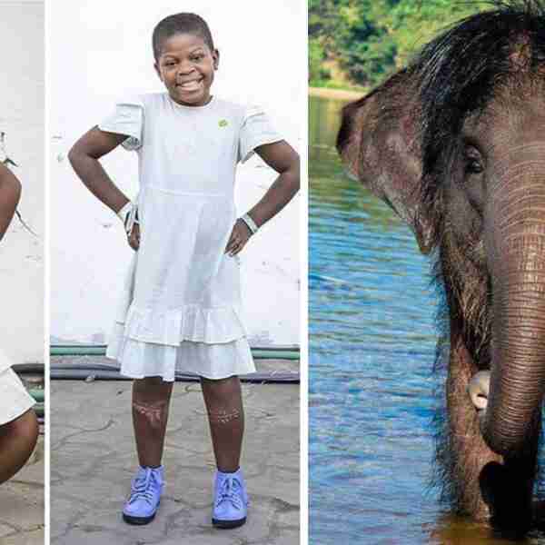 17 Fotografías fascinantes de situaciones poco comunes