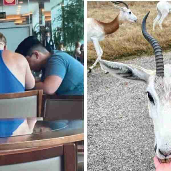 17 fotos que demuestran que no puedes confiar ni en tus ojos