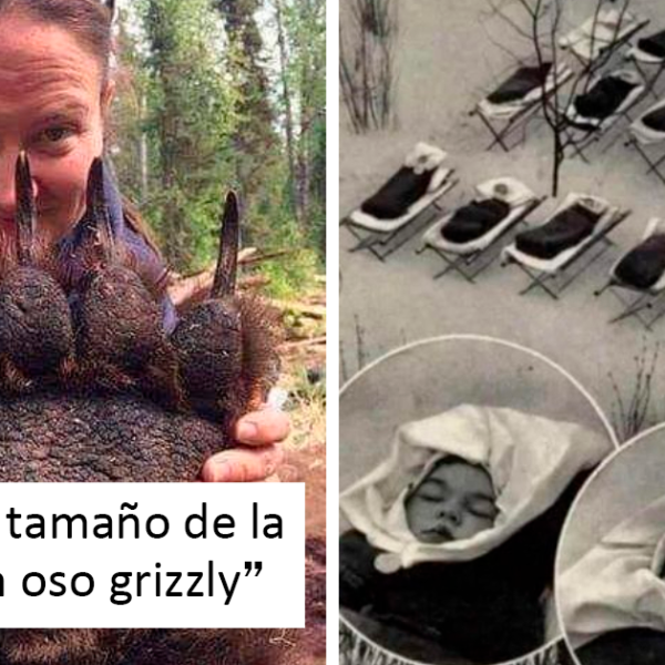 45 Cosas raras, maravillosas y extrañas que hay en el mundo, compartidas en este grupo online