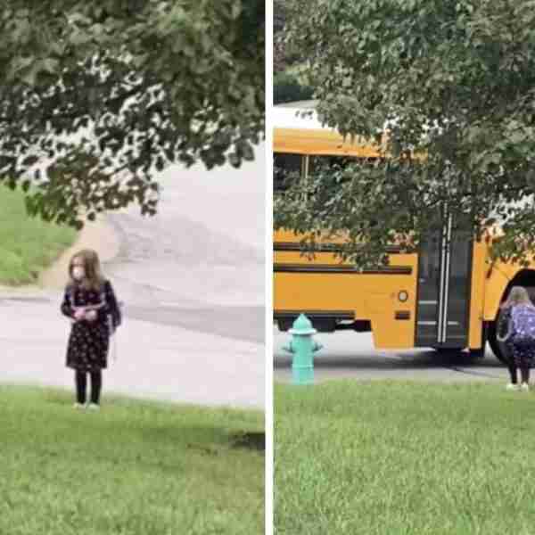 Gato acompaña a su dueña hasta el autobús escolar cada mañana: “Se ha dado a sí mismo el trabajo”
