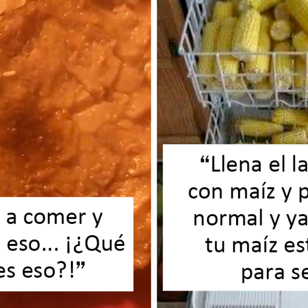 La gente comparte 20 fotos de comida muy asquerosa que trajeron sus invitados