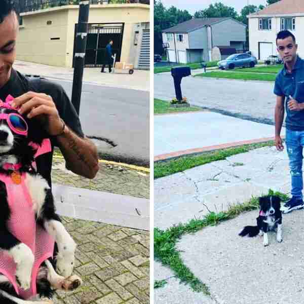 Migrante llegó a Estados Unidos a pie junto a su perrita rescatada: “Son un amor para toda la vida”