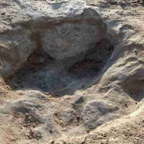 Sequía en Texas revela huellas de dinosaurio de 113 millones de años de antigüedad