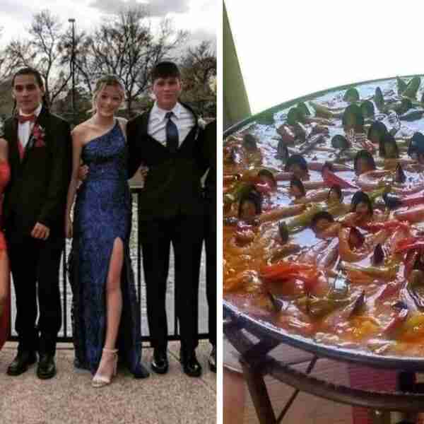 18 Fotos que tendrás que mirar más de dos veces para poder entenderlas