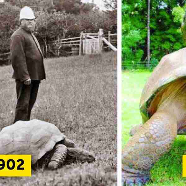 20 Imágenes impactantes que muestran cómo cambian las cosas en pocos años