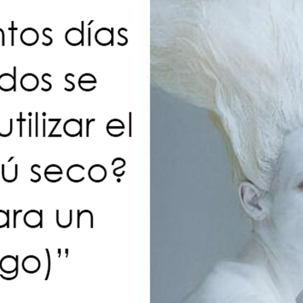 20 Memes tan divertidos como dolorosamente ciertos que entenderá cualquiera que tenga «30 años y esté cansado» (nuevas imágenes)