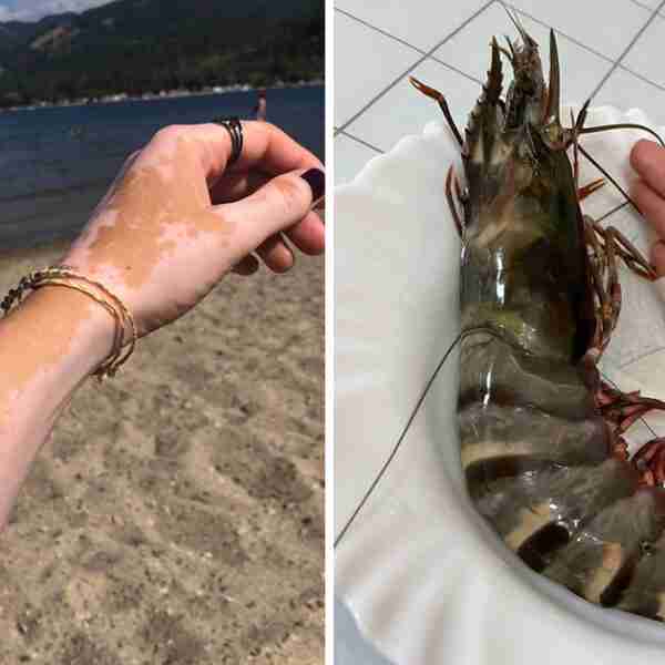 21 Fotografías de situaciones inusuales que no se ven todos los días