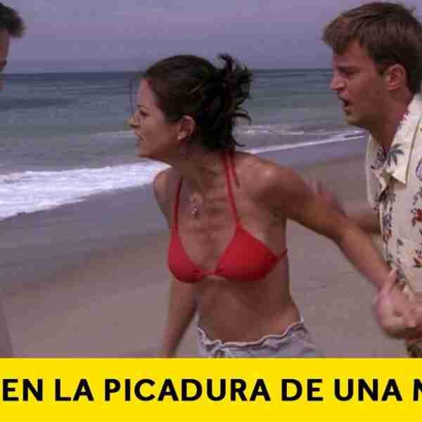5 Mitos y mentiras comunes que en realidad podrían ponerte en peligro