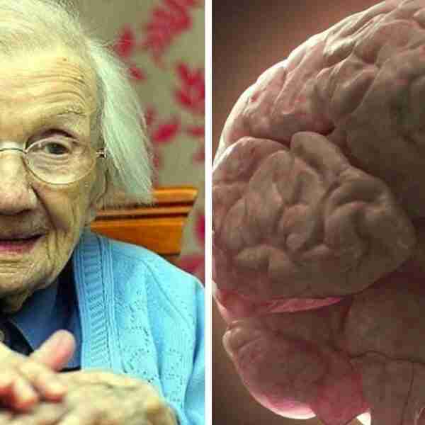 Una Neurocientífica publica un ejercicio para tratar de prevenir el Alzheimer